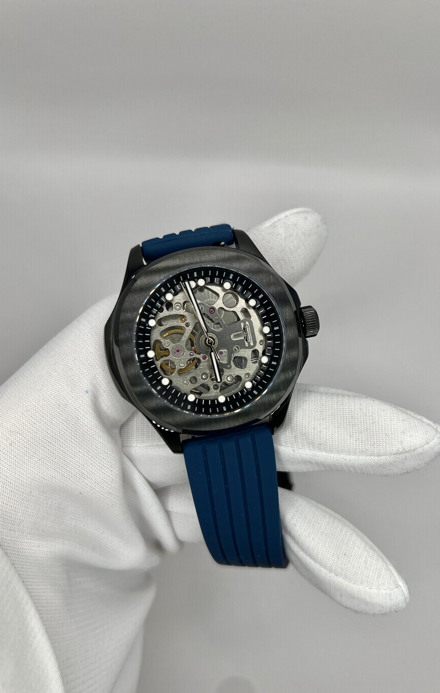 Skeleton Nautilus